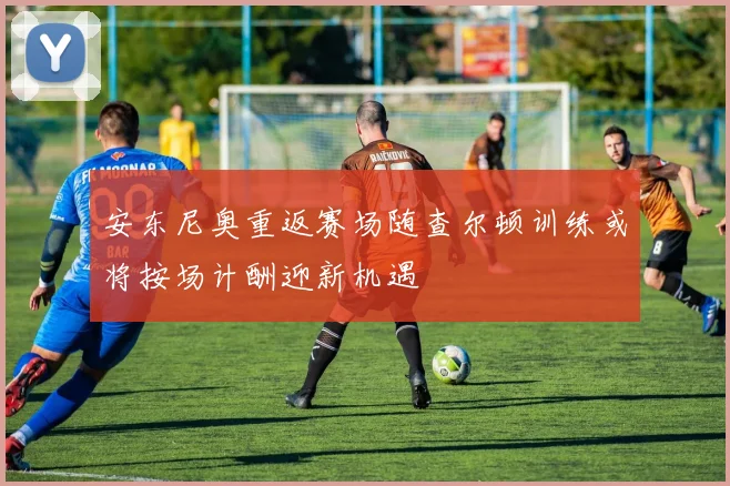 安东尼奥重返赛场随查尔顿训练或将按场计酬迎新机遇