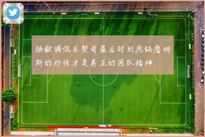 杨毅调侃东契奇最后时刻甩锅詹姆斯的妙传才是真正的团队精神