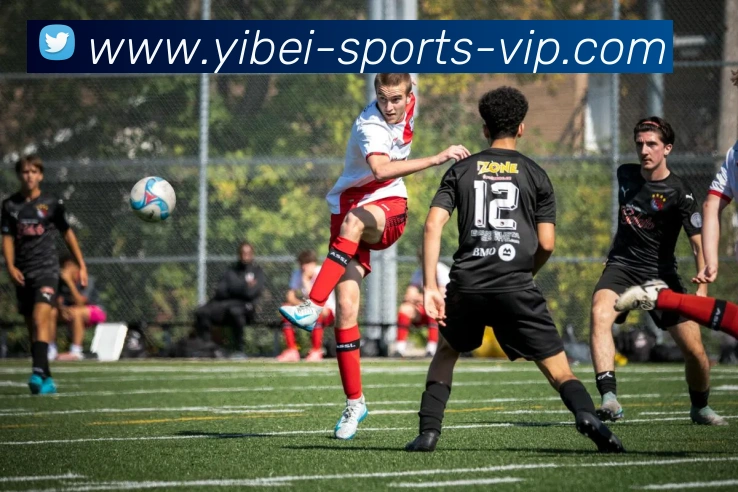 多媒体互动体验