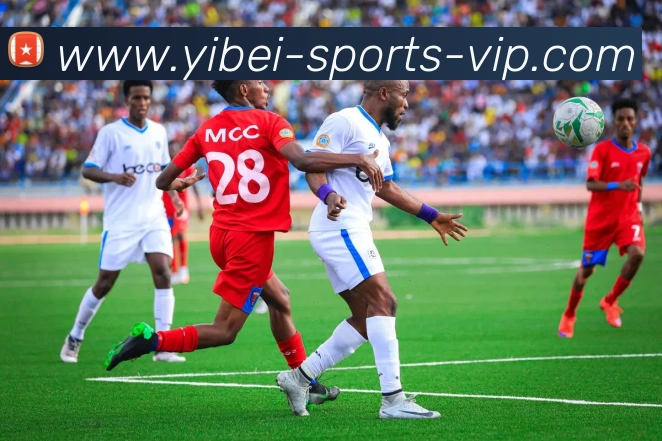 易倍体育APP 高清赛事图